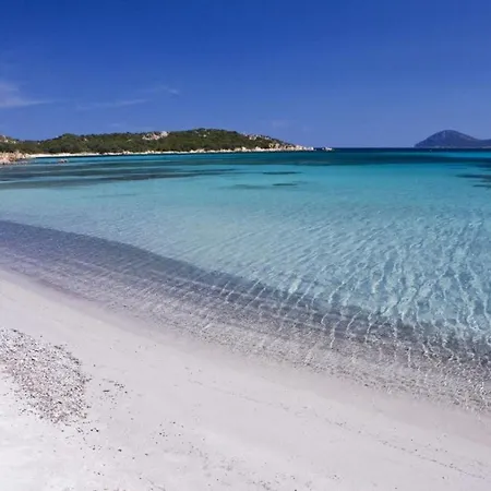 بيت للعطل Casa Sa Petra Ruja B سينيسكولا